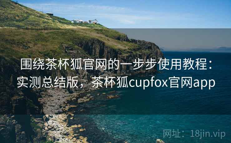 围绕茶杯狐官网的一步步使用教程：实测总结版，茶杯狐cupfox官网app  第2张