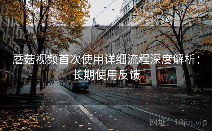 蘑菇视频首次使用详细流程深度解析:长期使用反馈 第2张 蘑菇视频首次使用详细流程深度解析:长期使用反馈 第2张