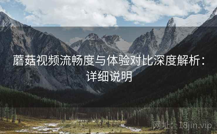 蘑菇视频流畅度与体验对比深度解析：详细说明