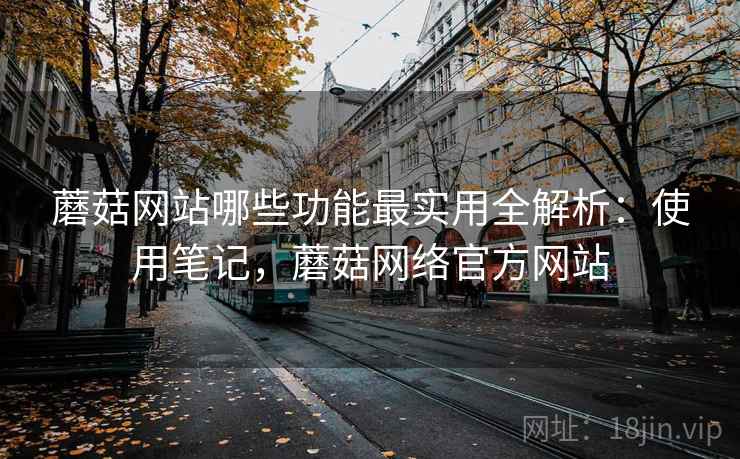 蘑菇网站哪些功能最实用全解析：使用笔记，蘑菇网络官方网站  第2张